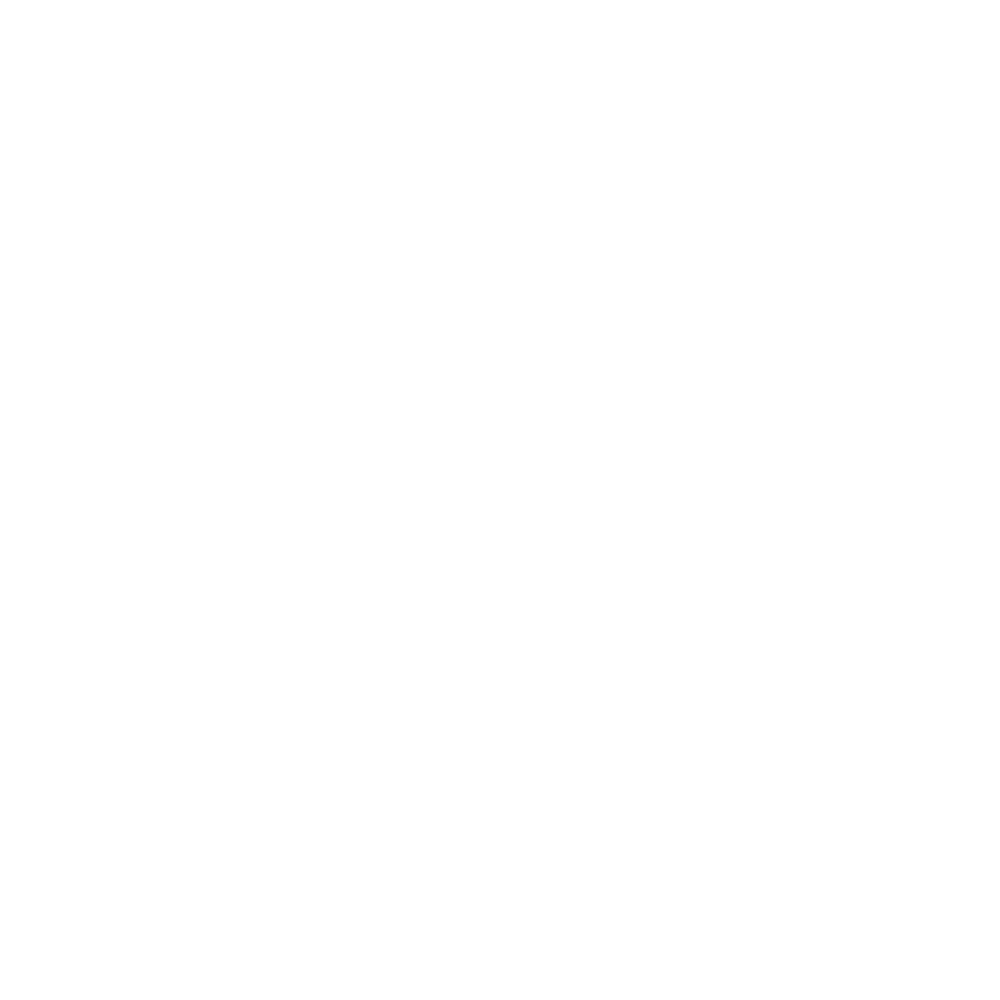 Feest DJ Harry